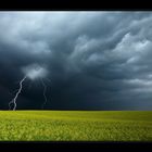 field and thunderstorm