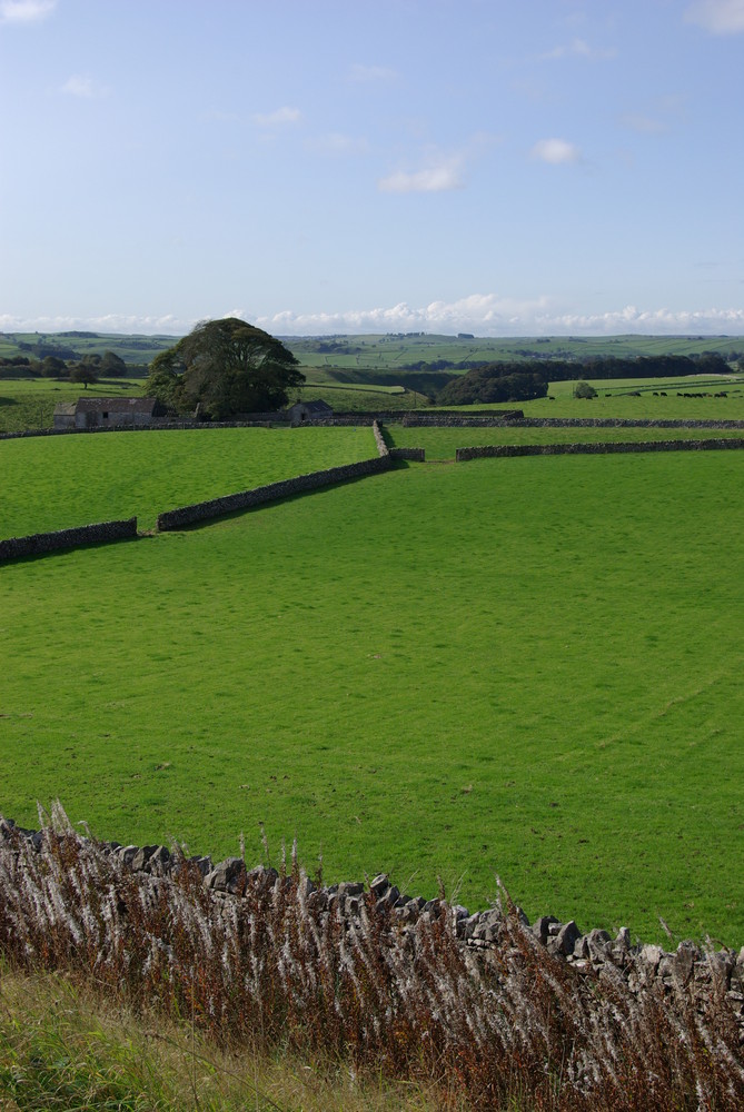 Field and Wall