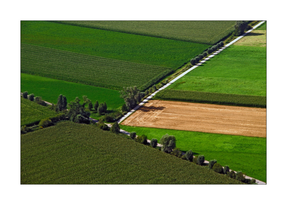 Field Art - Feldkunst 4