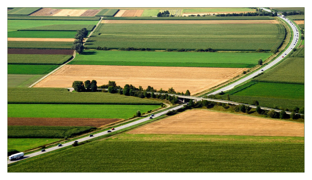 Field Art - Feldkunst --