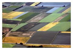 Field Art - Feldkunst