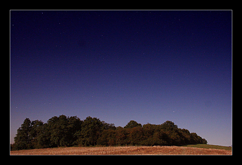 field at night