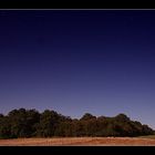 field at night