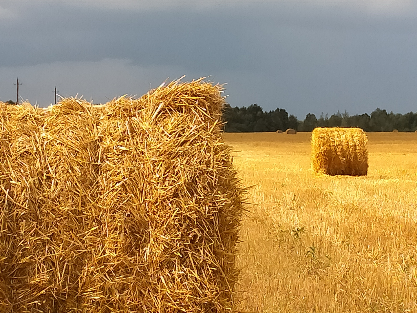 Field before storm