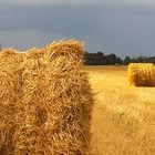 Field before storm