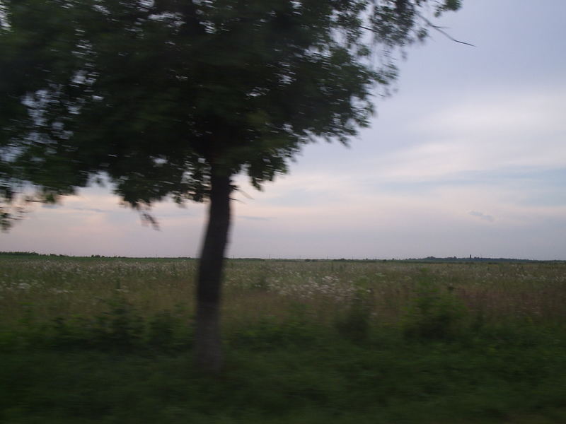 field