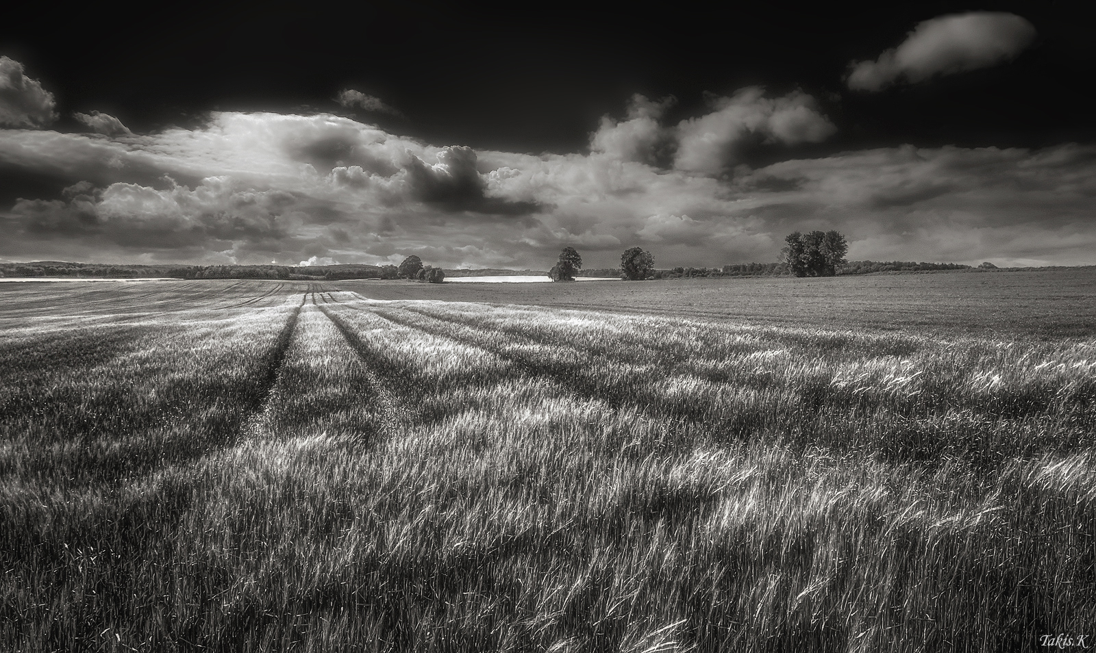 Field grain