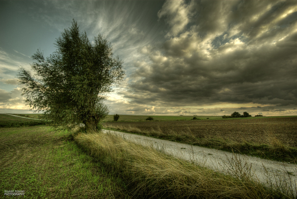 Field in the clouds.