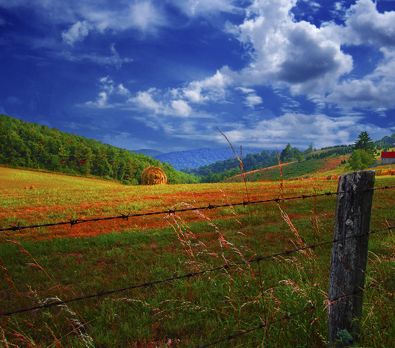 Field in Virginia