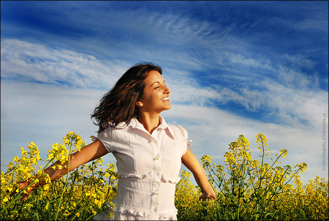 Field in Yellow