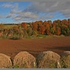 field near glendouglas jedburgh