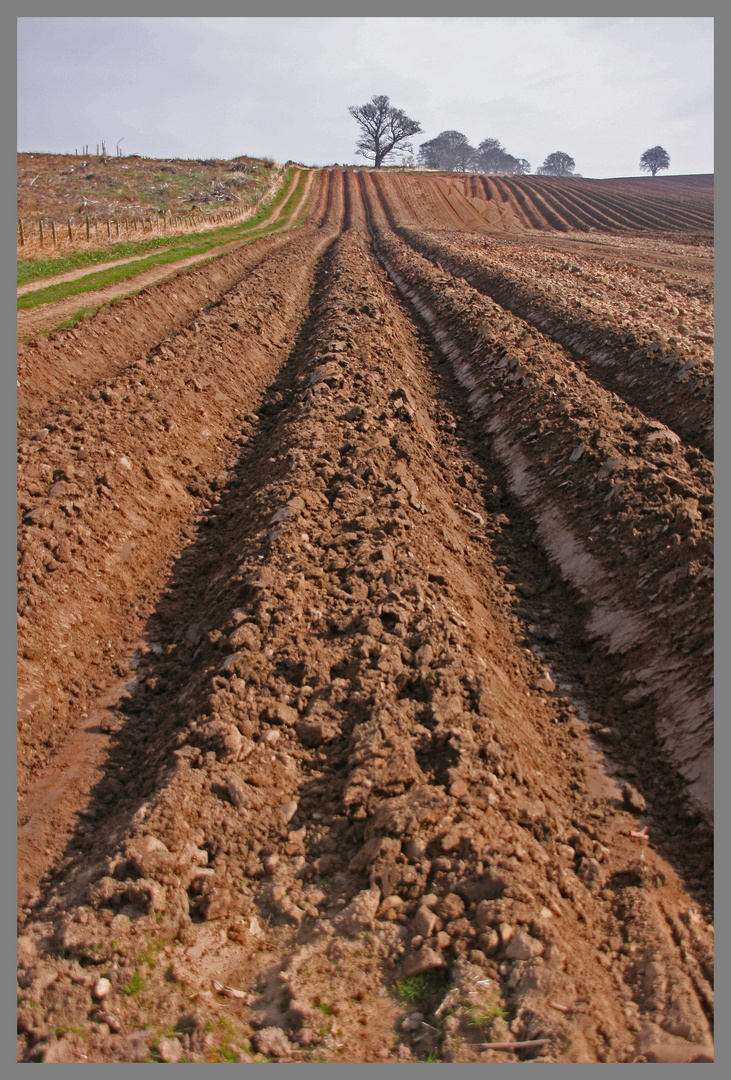 field near grahamslaw Scottish Borders A2