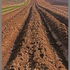 field near grahamslaw Scottish Borders A2