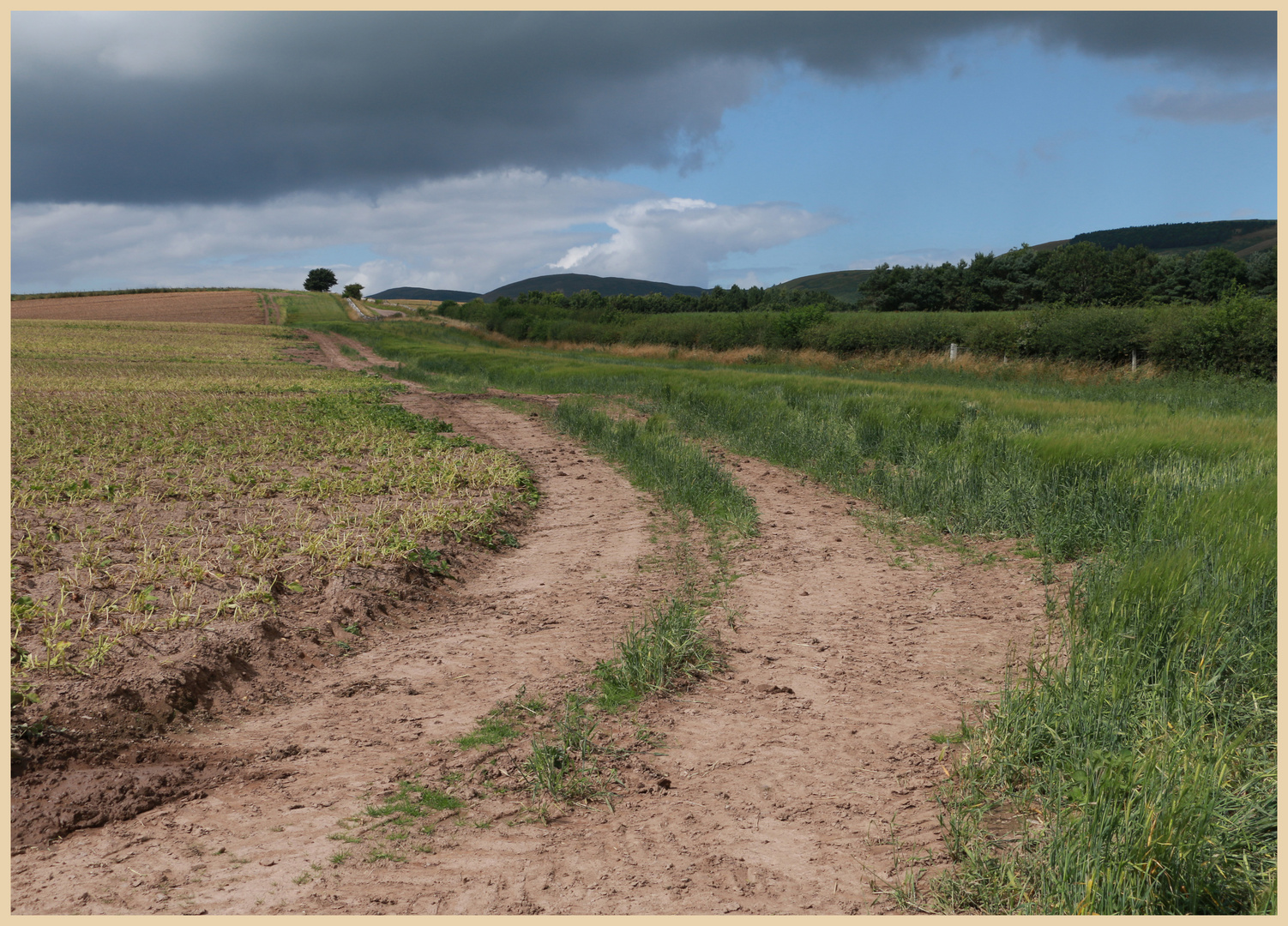 field near kirknewton 4