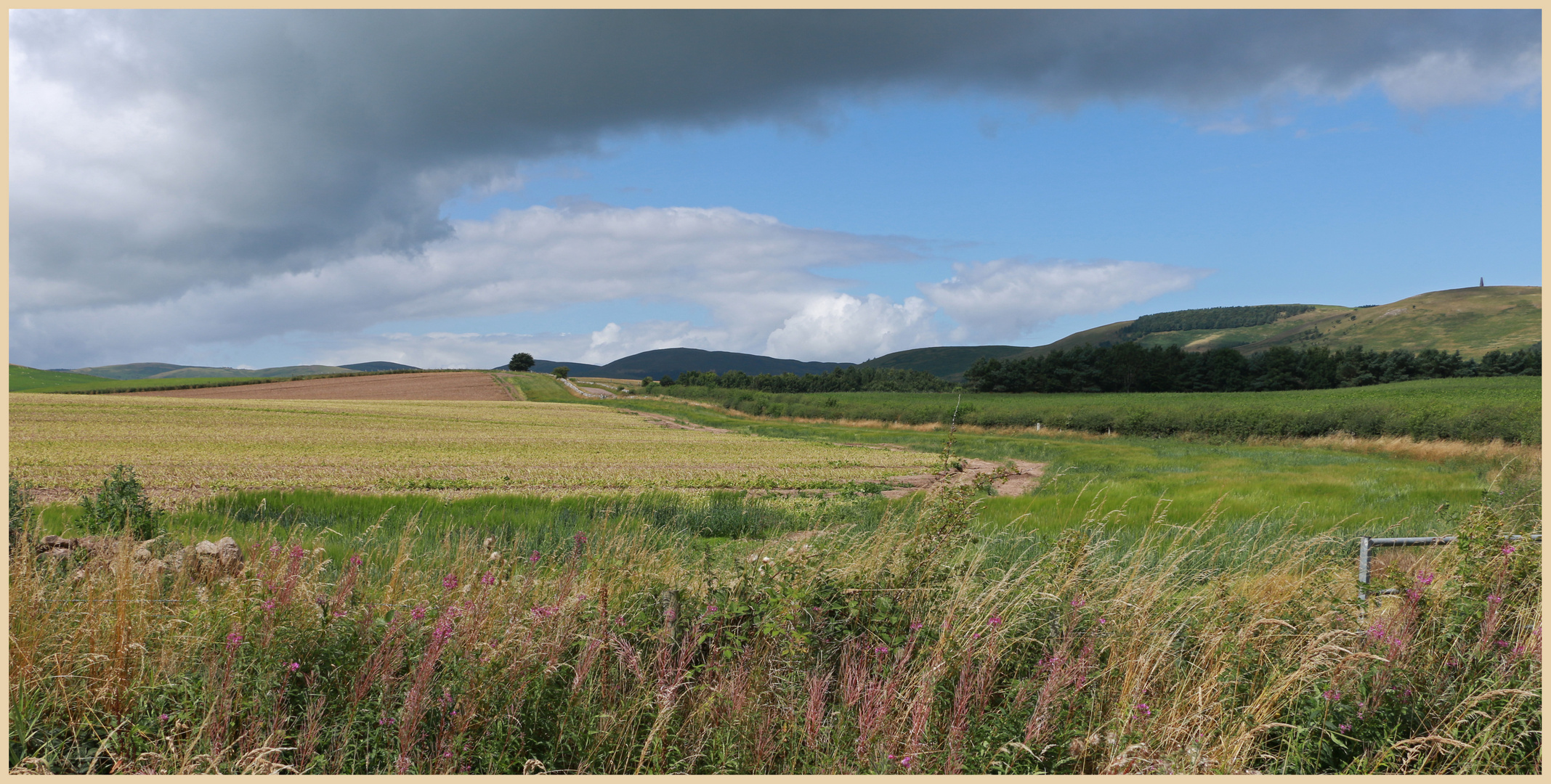 field near kirknewton