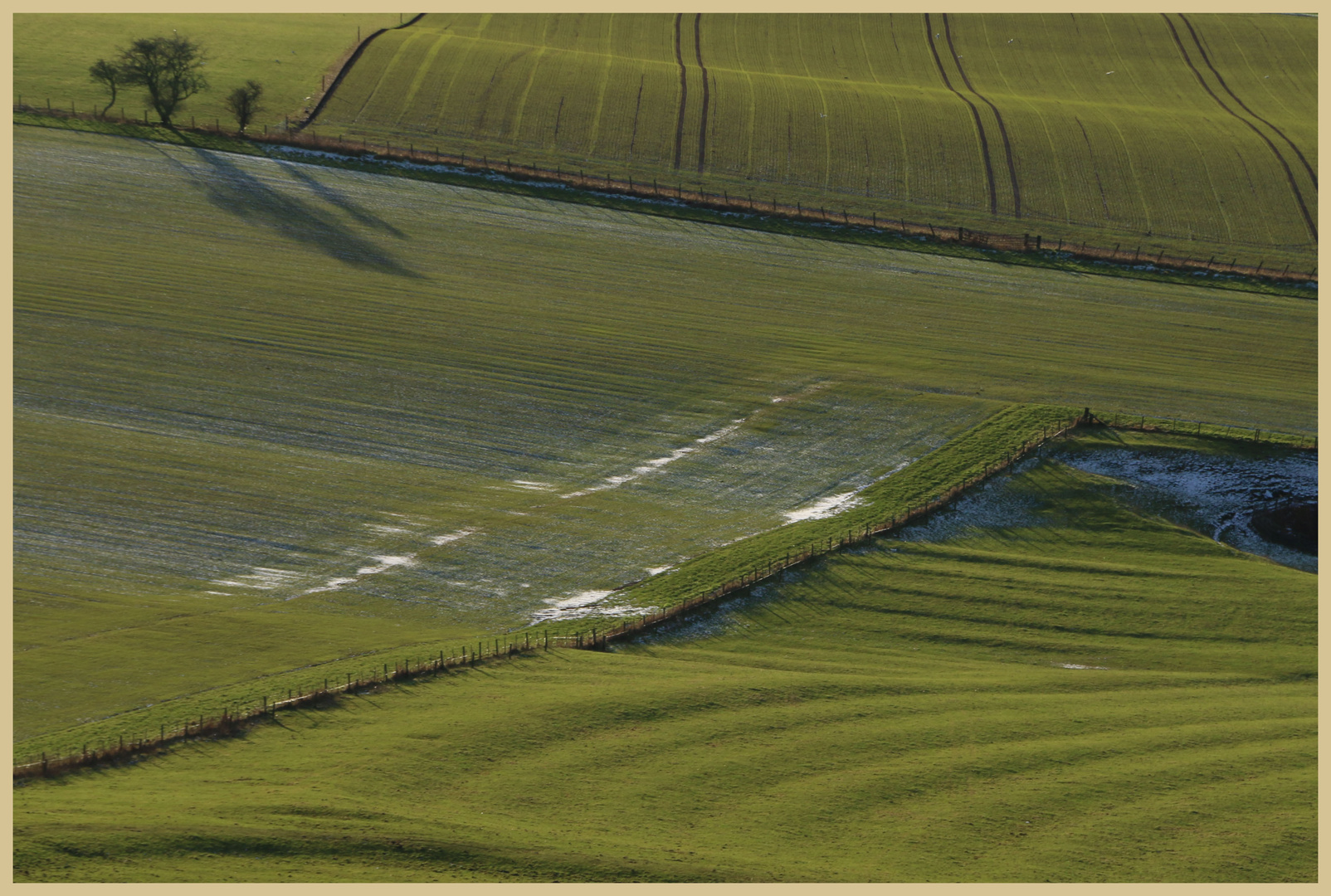 field near old Lyham 2