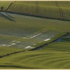 field near old Lyham 2
