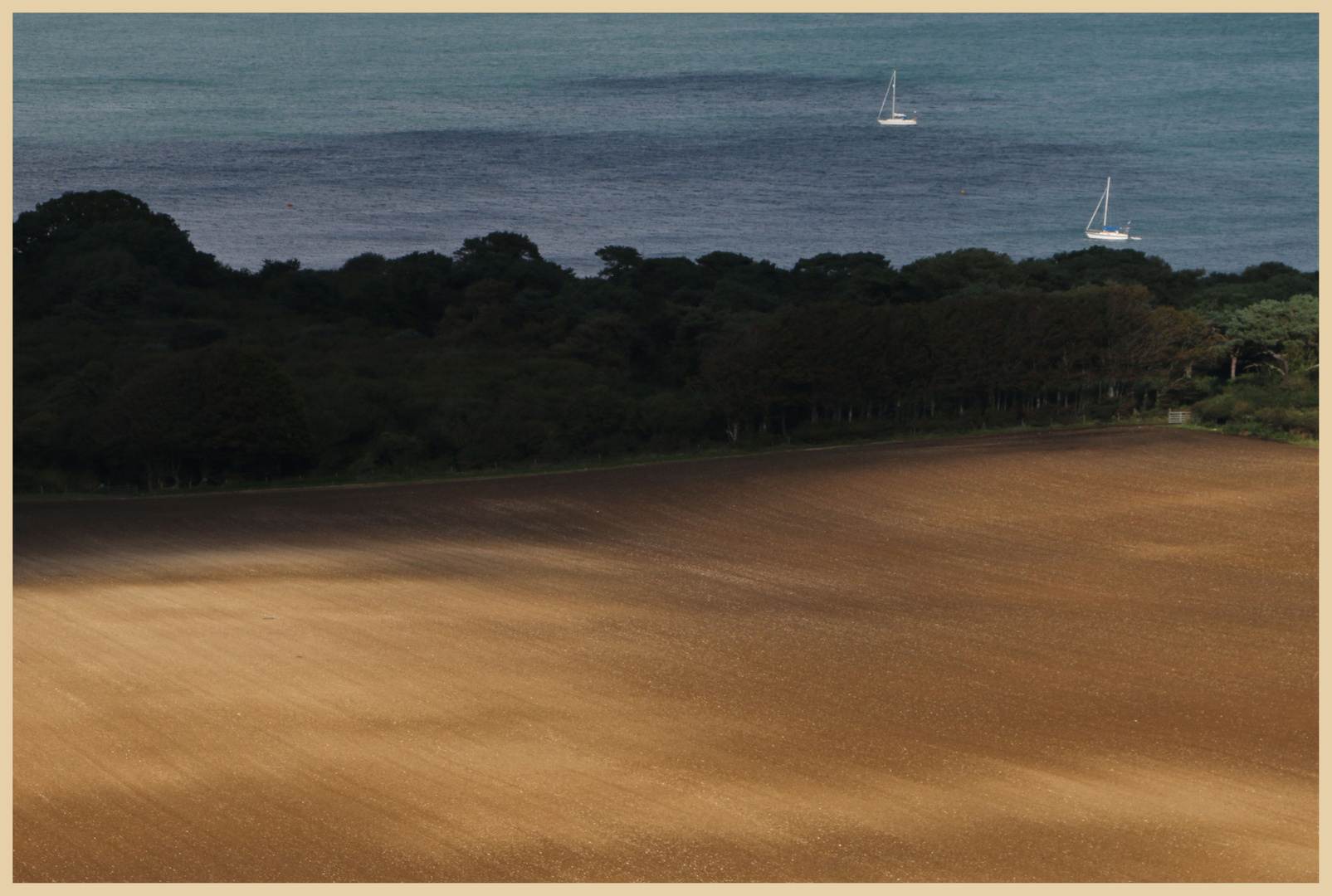 field near studland bay