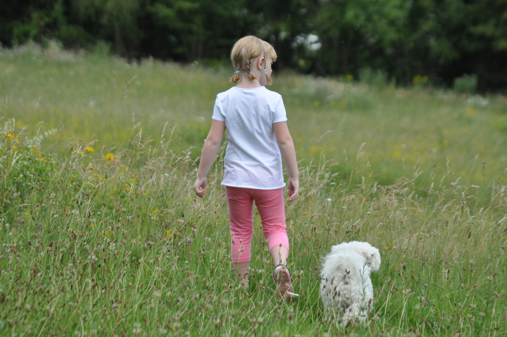 Field of Dreams