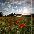 field of dreams