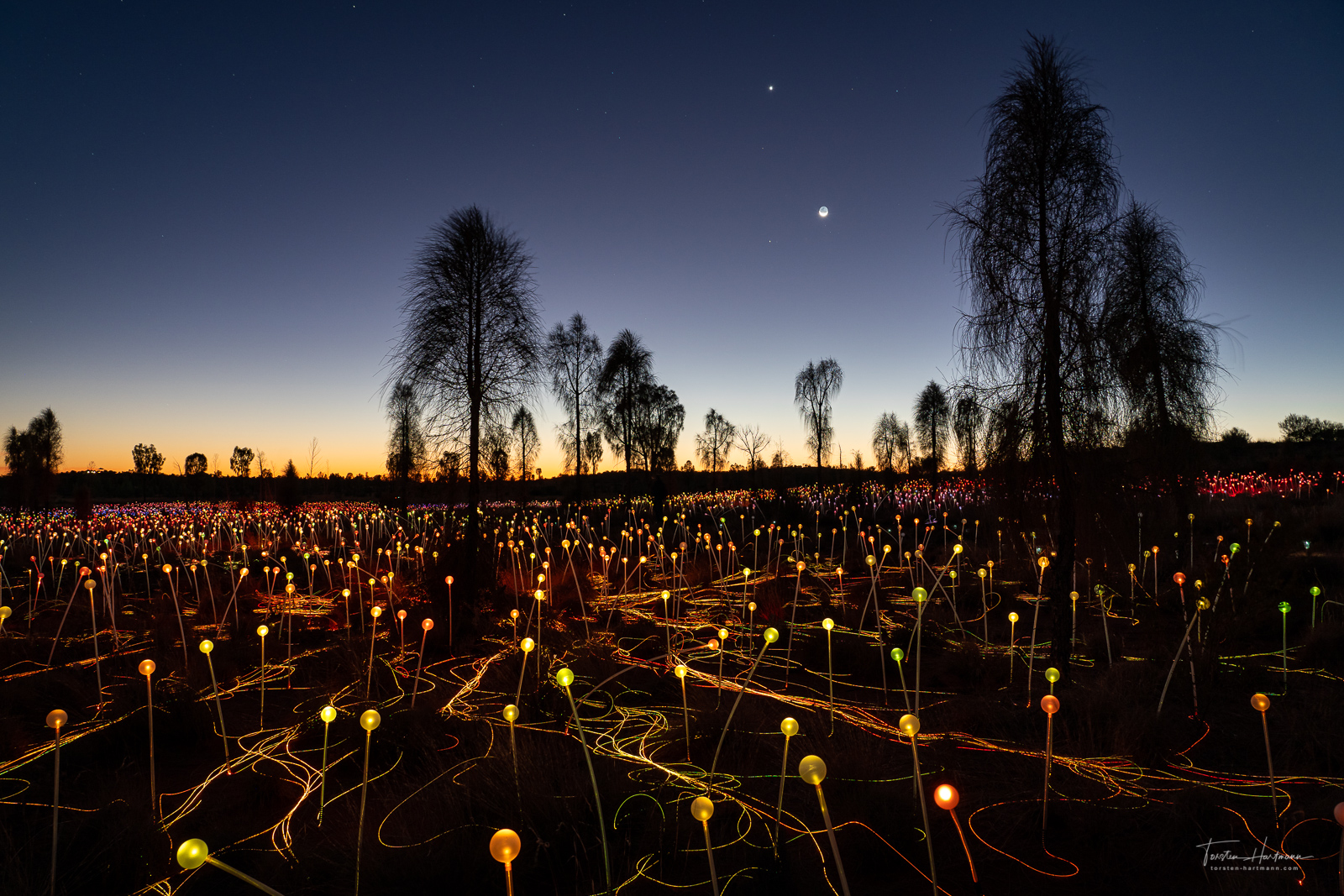 Field of Light (Australia)