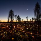 Field of Light (Australia)