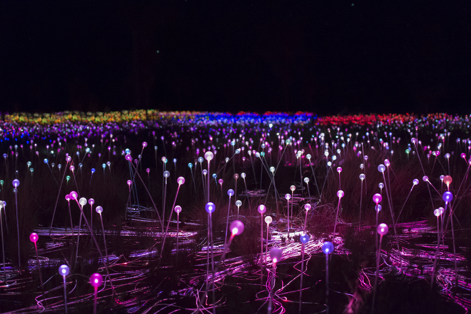 Field of Light Uluru