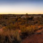 Field of Light Uluru (Australia)