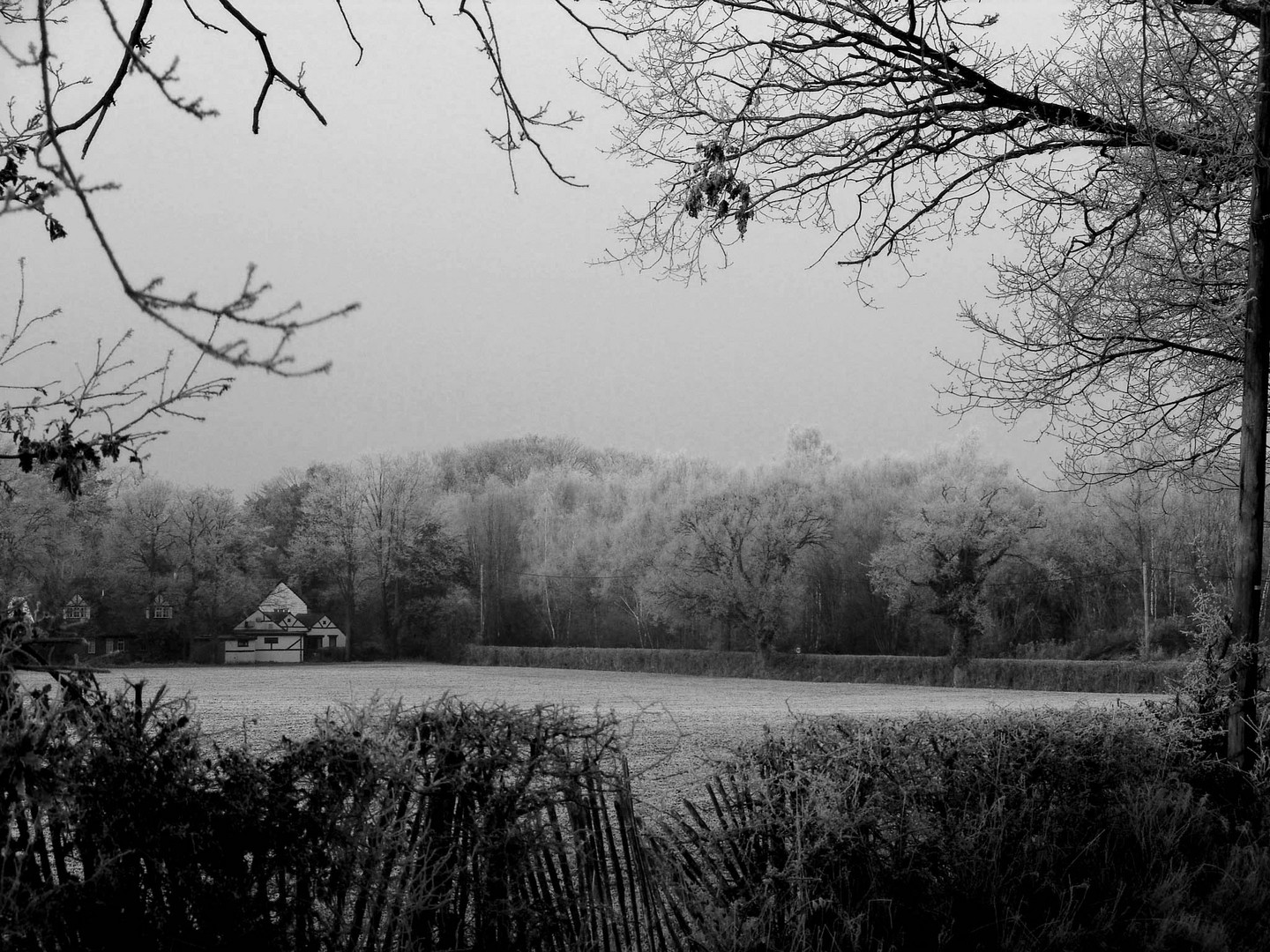 Field of Snow