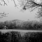 Field of Snow