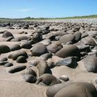 Field of Stones