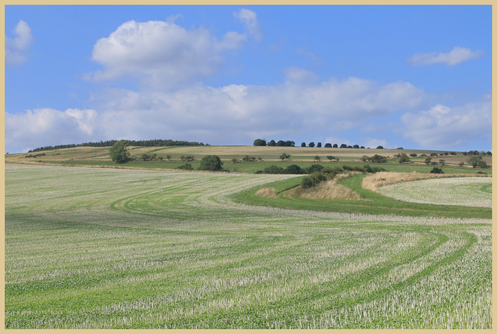 field of stubble near millfield 4