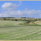 field of stubble near millfield 4