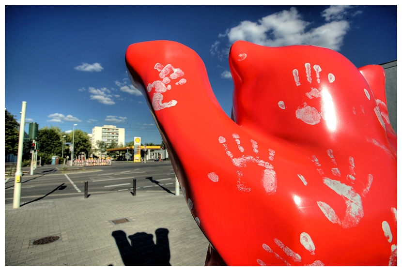 Field of view of a buddy bear