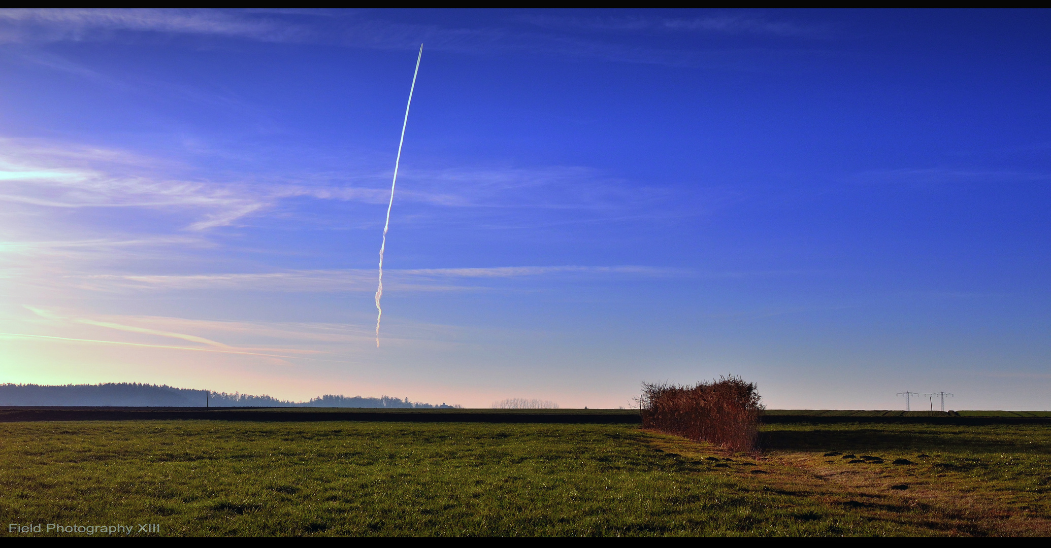 Field-Photography XIII