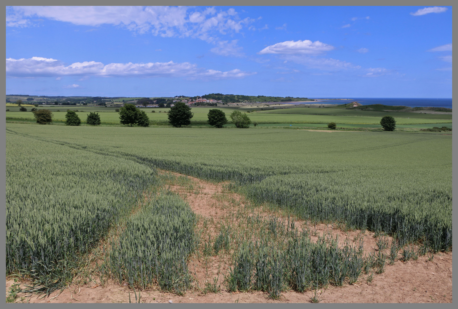 field south of alnmouth 2 Northumberland