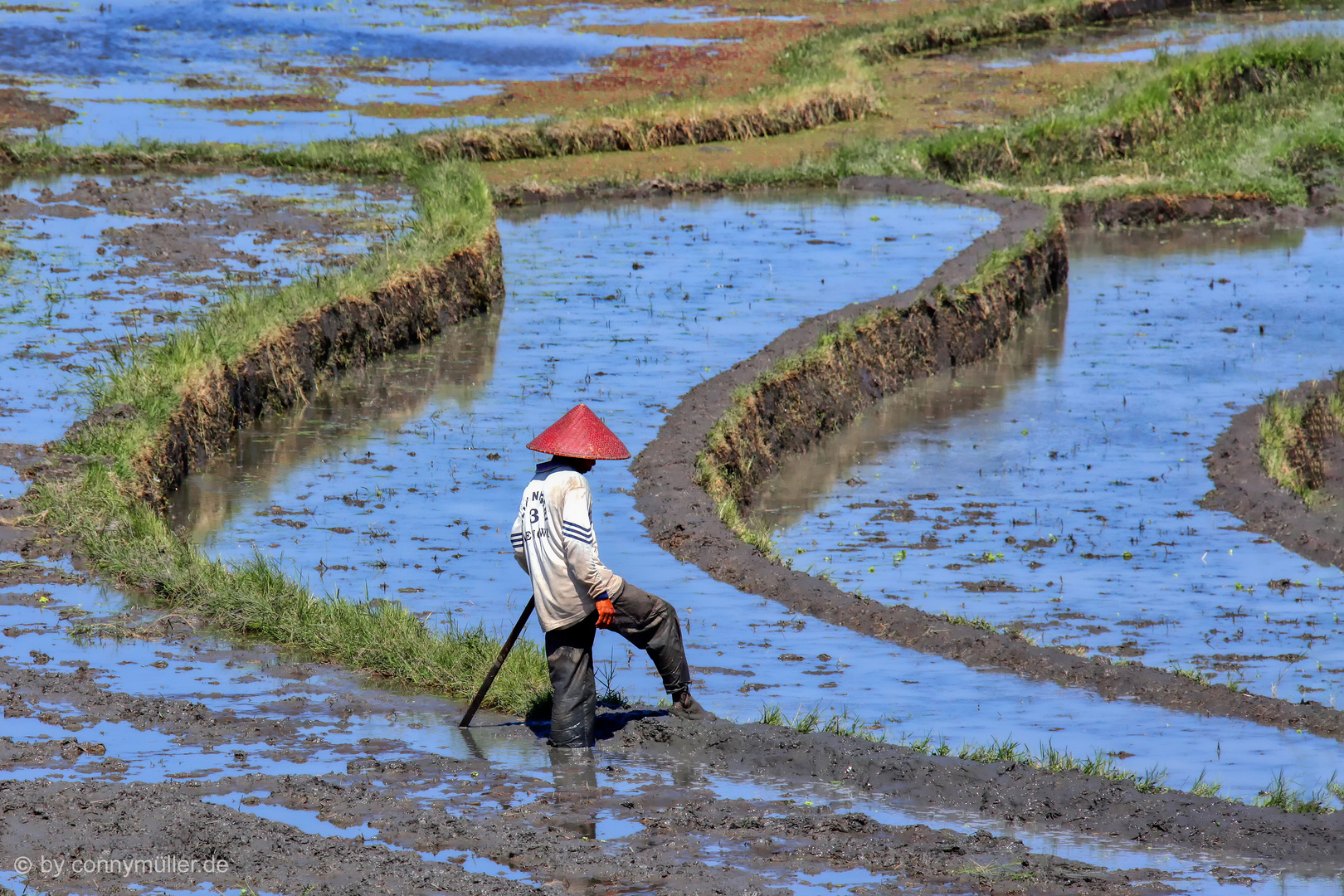 Field Worker