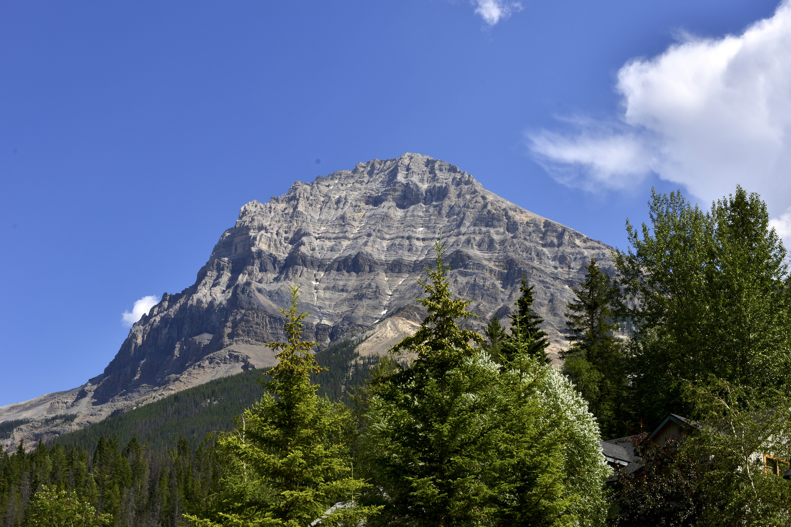 Field ( Yoho NP B.C.)