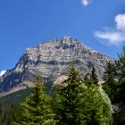 Field ( Yoho NP B.C.)