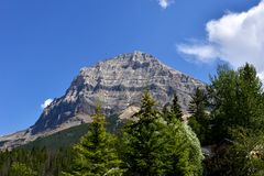 Field ( Yoho NP B.C.)