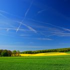 fields and stripes