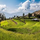 Fields close to Sarangkot