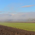 Fields in fog