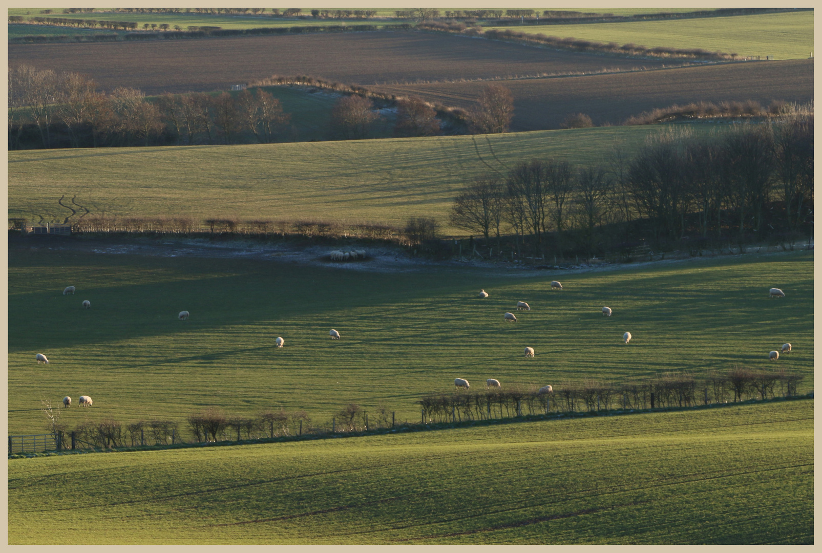fields near craggyhall