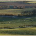 fields near craggyhall