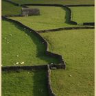 fields near gunnerside