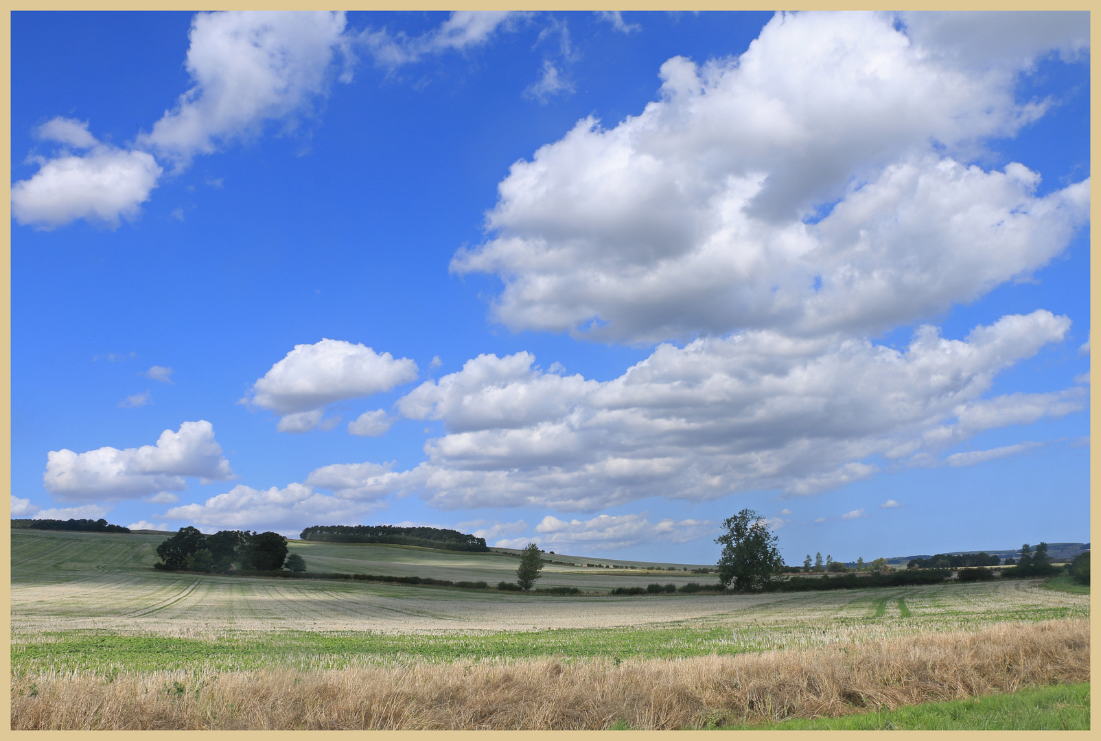 fields near millfield 4