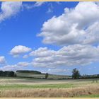 fields near millfield 4