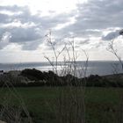 Fields near the sea at Qrendi (Malta)