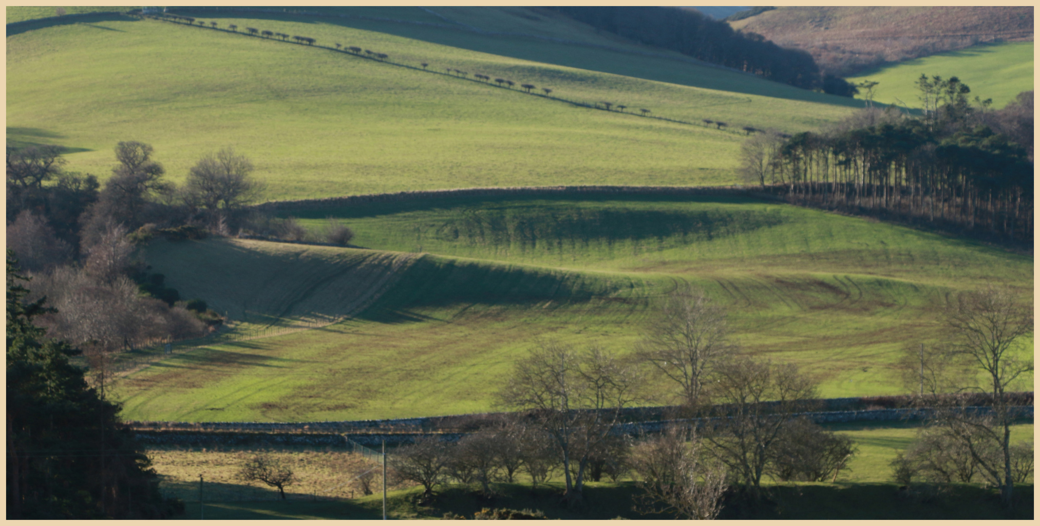 fields near westnewton 4